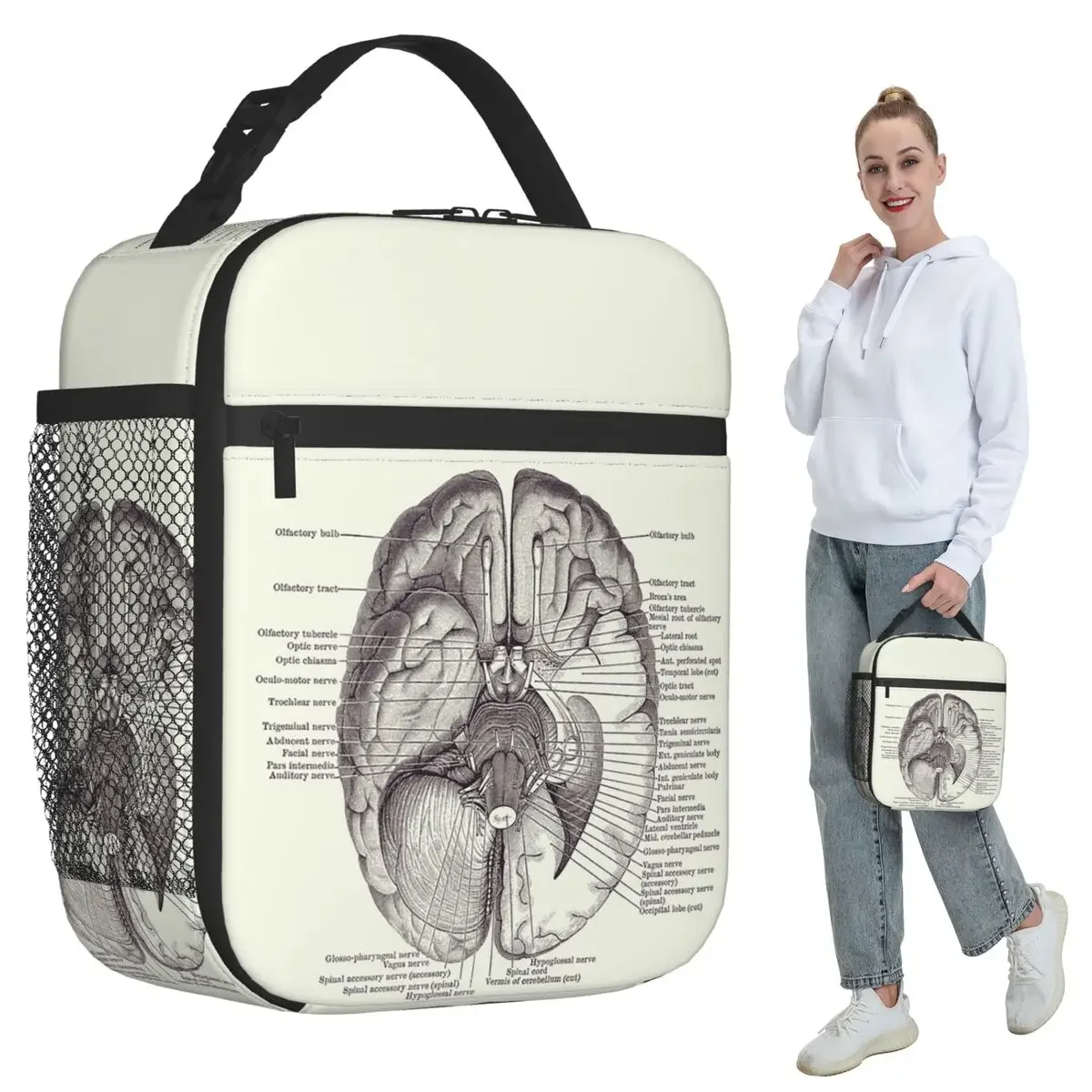 Brain Nervous System Diagram - Vintage Anatomy Insulated Lunch Bag for Women Office Cooler Thermal Food Box Tote Lunch Boxes