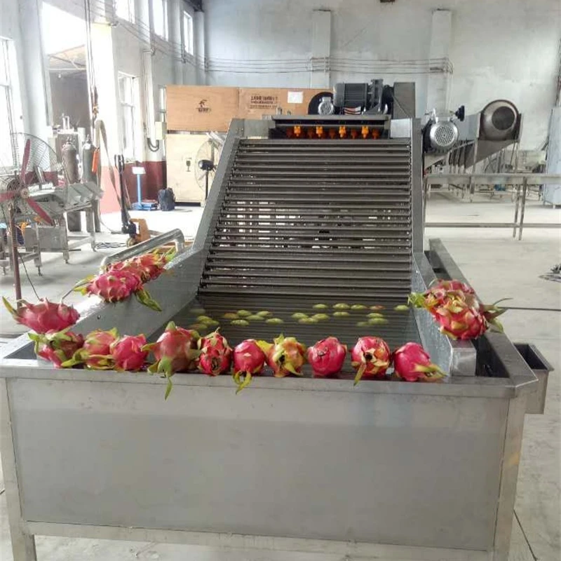 FOODLINE Fruit Processing Plaza Vegetable Cleaner Big Raw Material Hopper Touch Screen Intelligent Timing Control