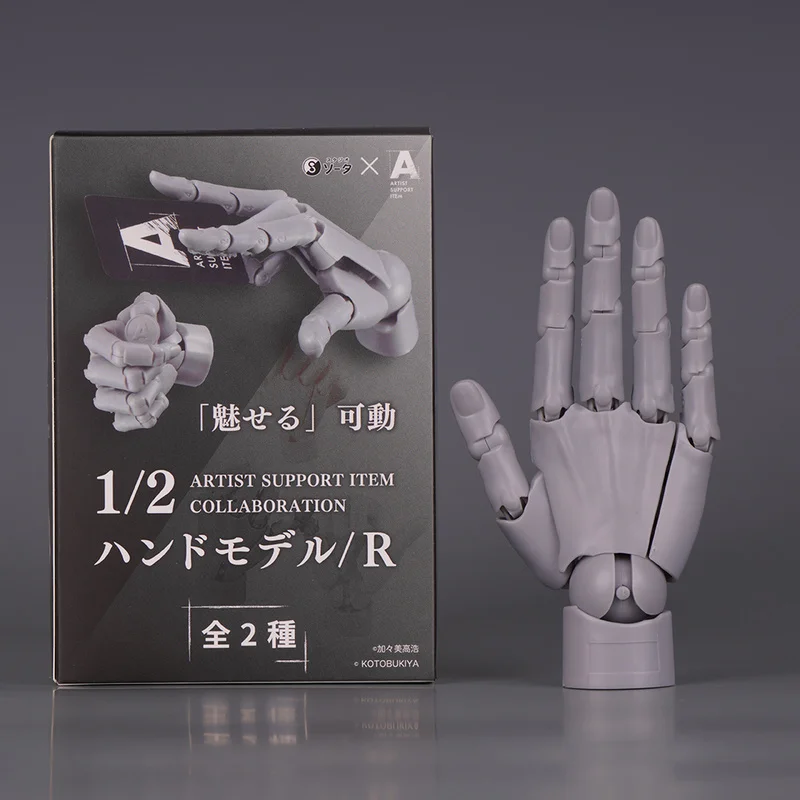 صندوق زينة محلي فائق الحركة 1/2 نموذج يدوي مع حامل خاص للرسم والرسم، بيضة ملتوية قياسية لليد اليمنى