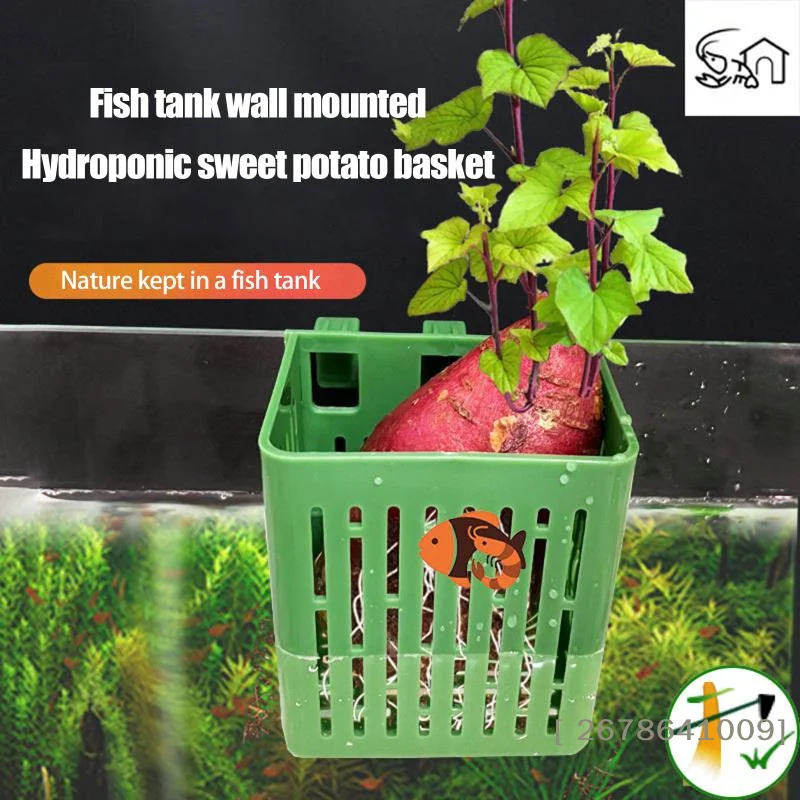 Planted Aquarium Aquascape - ⚑ Gantungan Akuarium dengan Pengait Hisap,