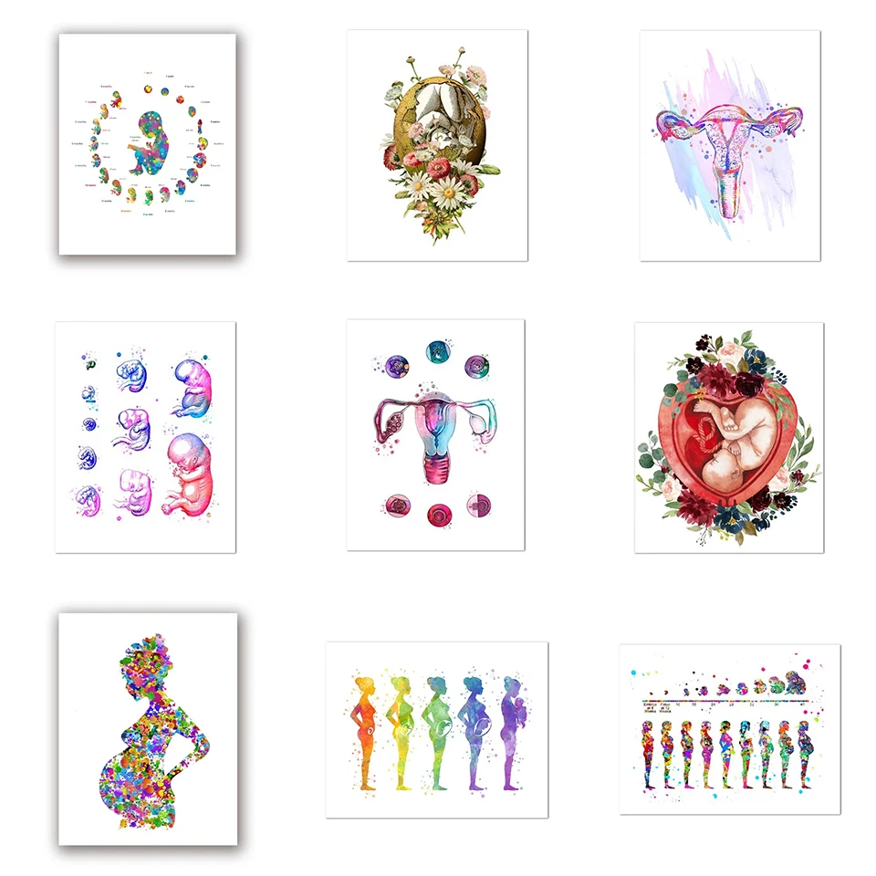 Maternity Art 5D Diamond Painting Diamond Mosaic Cross Stitch Doctor Obstetrician Gift, Embryonic Development Watercolor Diamond