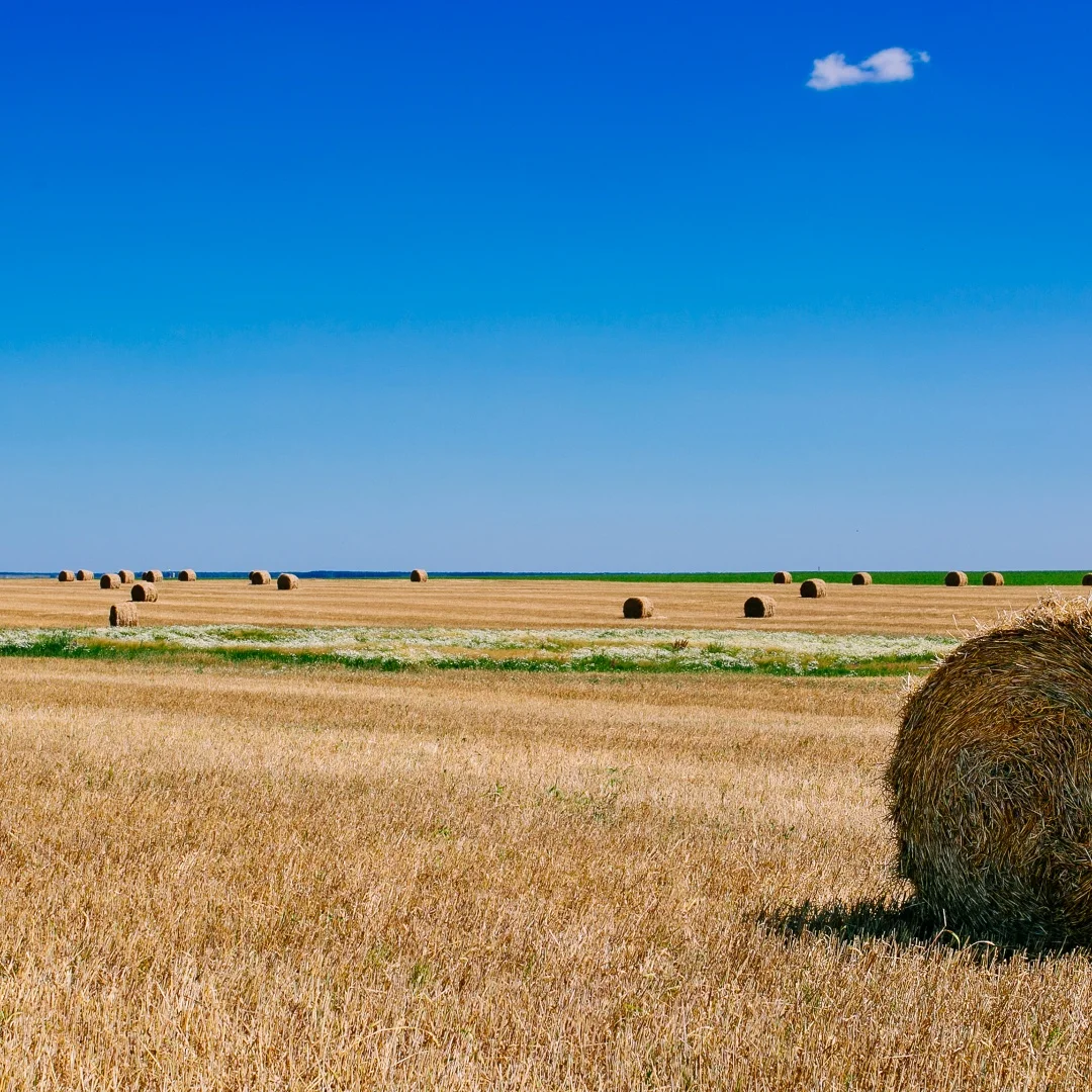 

Автомобильное радио Android 13, для Jeep Wrangler JL Gladiator 2018-2024, автомобильная мультимедийная стереосистема Carplay, авто Bluetooth, GPS, головное устройство