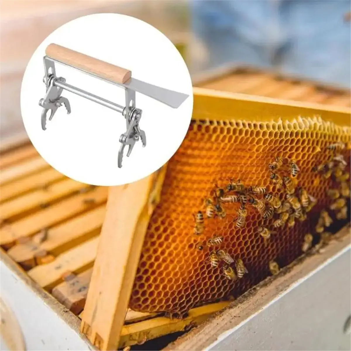 a16i-プロ仕様の蜂の巣枠グリップツール抽出器、人間工学に基づいた木製ハンドル付き、蜂の巣枠リフター