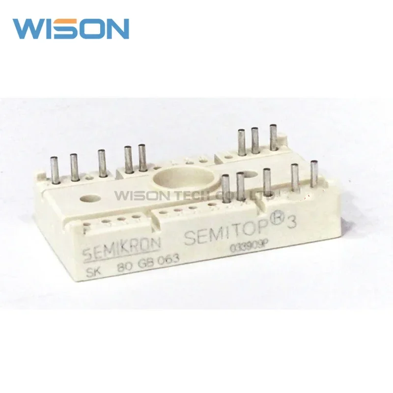 SK80GB063 FREIES VERSCHIFFEN NEUE UND ORIGINAL MODUL