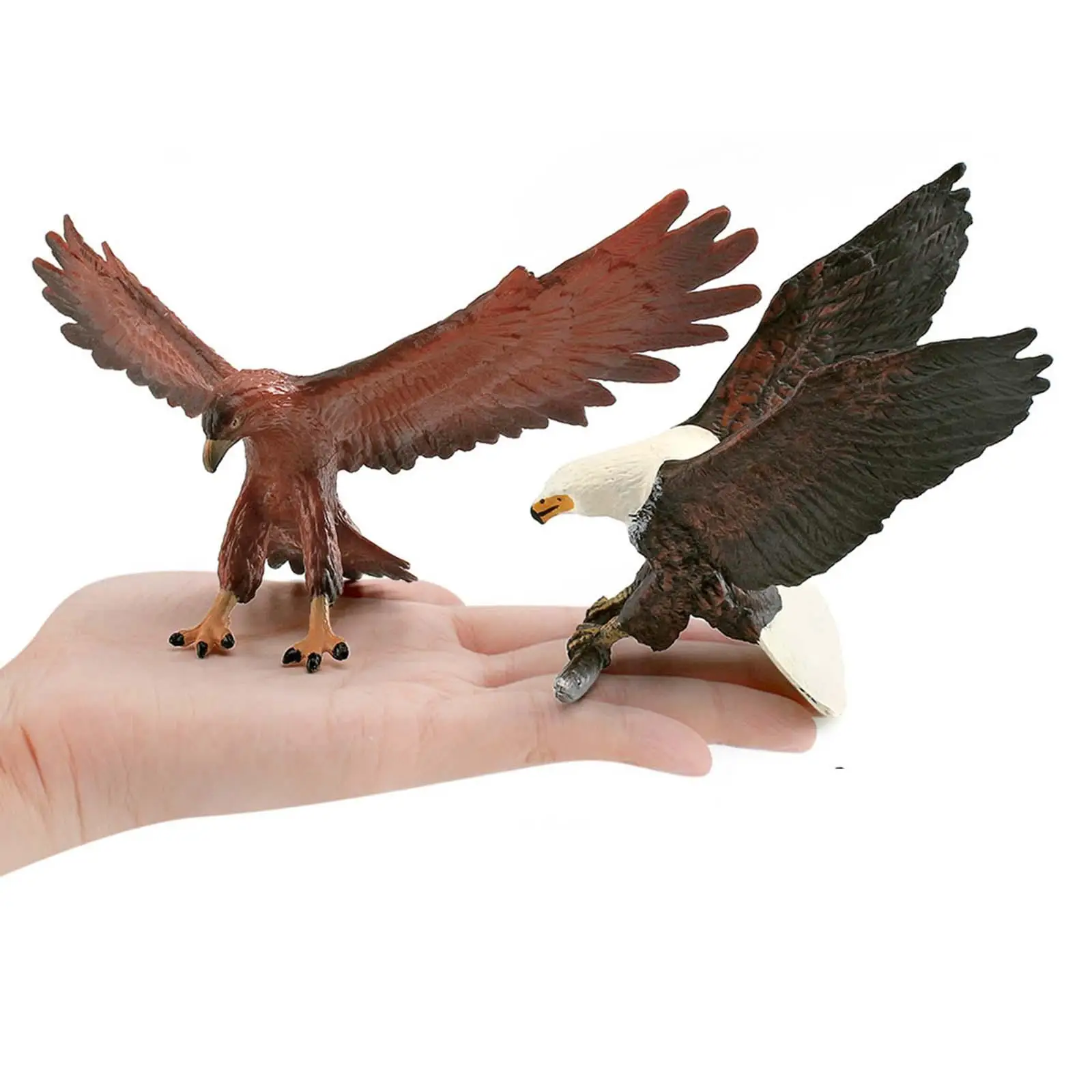 Simulation Animal Figurine PVC Eagle Statue Wildlife Bird Model Shelf Ornament Collectible for Children Home Decor view 3