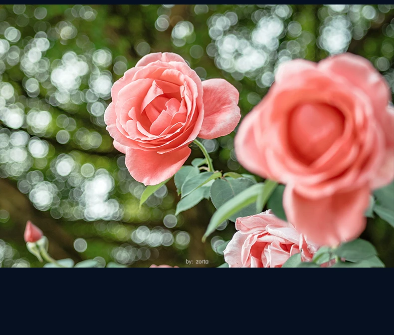 7artisans 40mm F2.5 Autofokus Vollformat-Objektiv mit großer Blende für Sony E A7R A7 V A7C II Nikon Z Z8 Z50II Leica L SL S1M2 – Detail 10