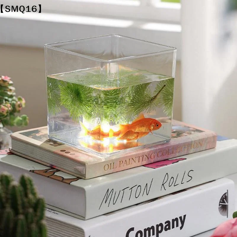 Vasi per piante in acrilico tr - Bonsai Garden Nursery recensione e prezzo