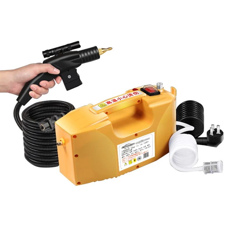 220V 110V 3000W High Pressure Steam Cleaner Machine Pumping Sterilization Disinfector Steam Generator Washer Household Cleaner