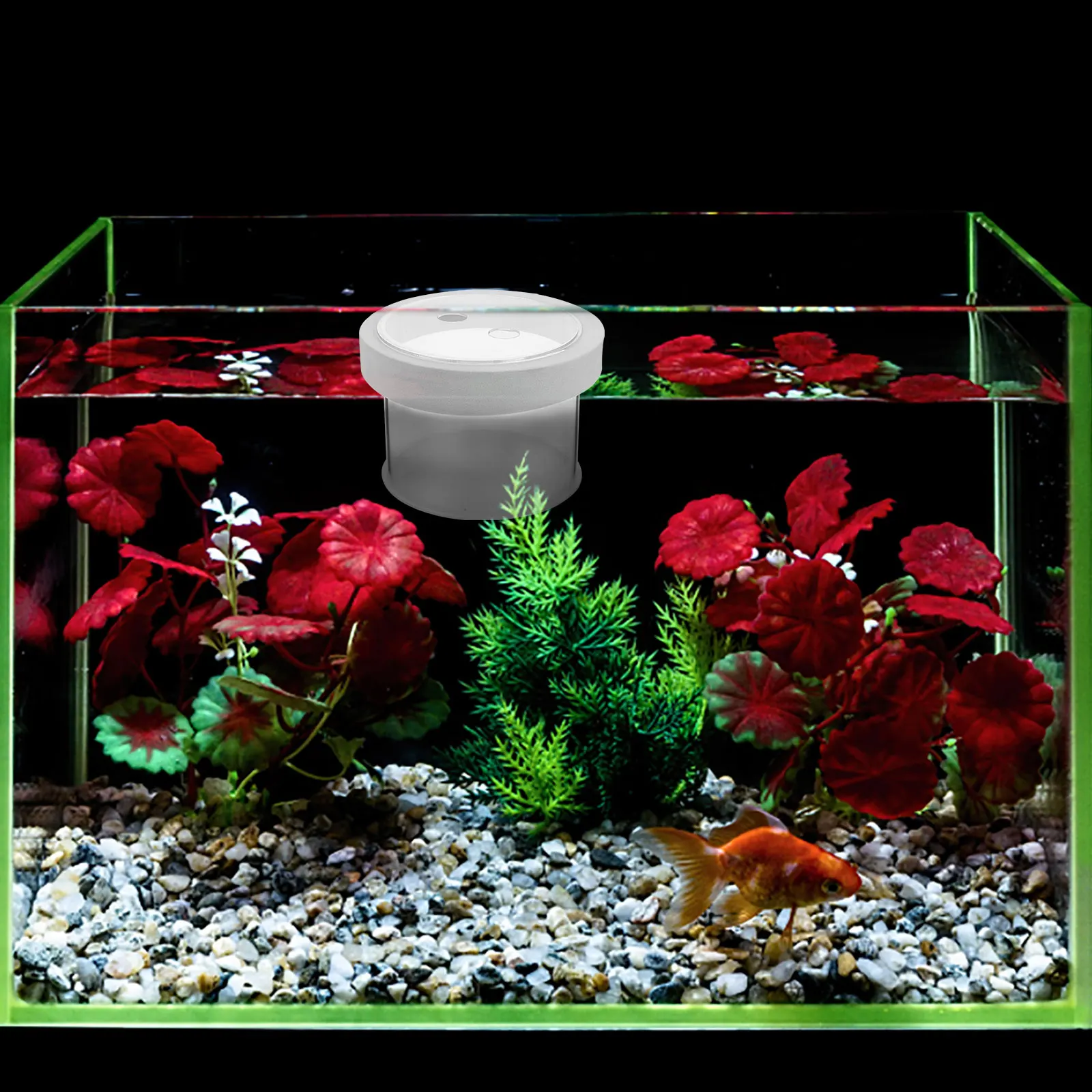 

Tank Isolation Box Aquarium Breeding Container Floating Separator Transparent Acrylic Material Small Fish Breeder Baby Fish