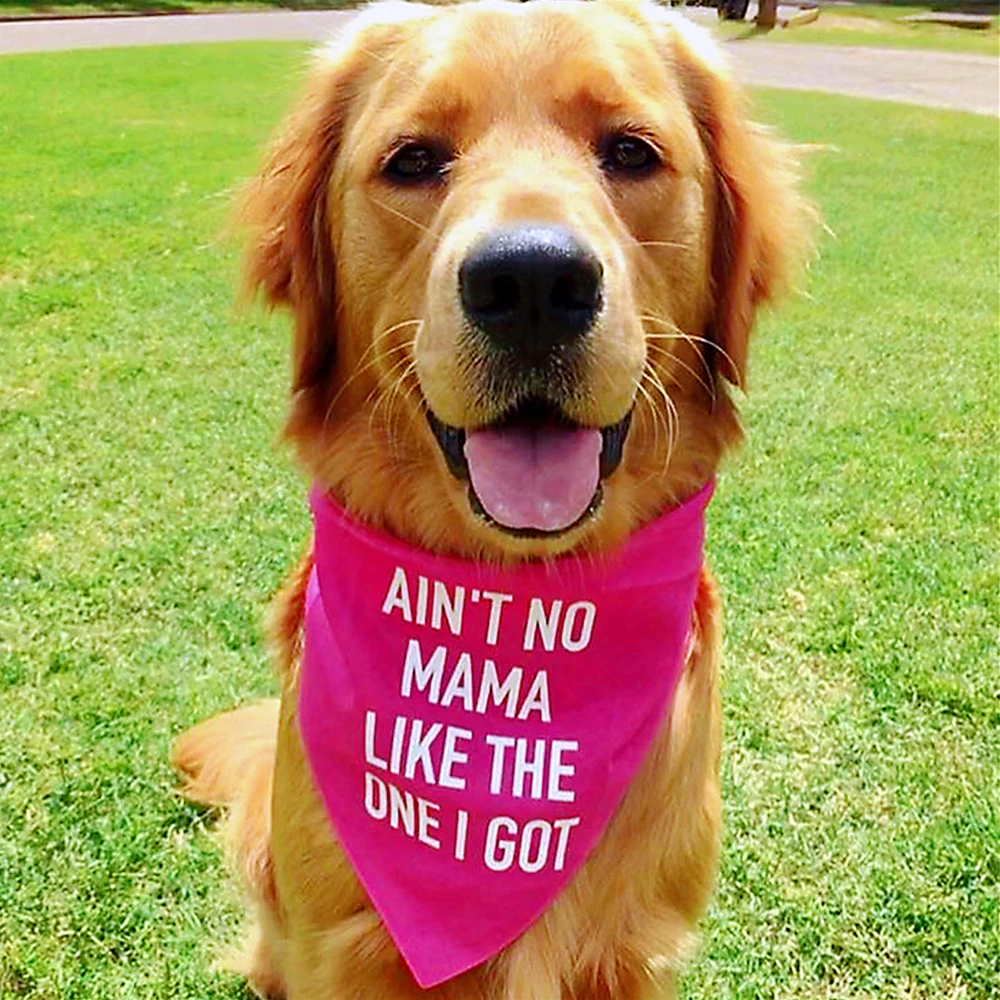 Personalised Dog Bandana Ain't No Mama Like The One I Got Color Options Dog Accessories Pet Accessories for Dog Wedding Birthday