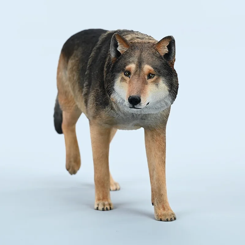 Grey wolf ferocious prairie wolf simulation animal model accessory parts soldier tide play figure ornament