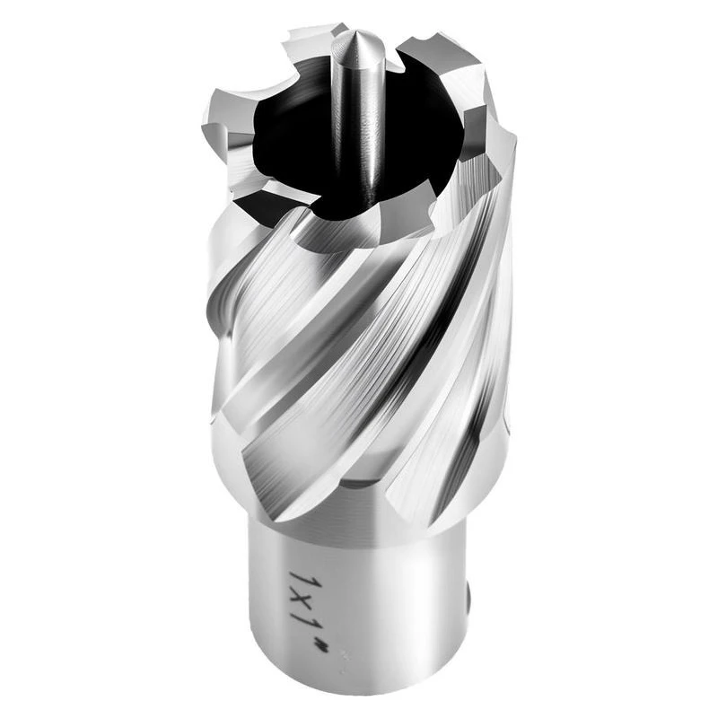 

Annular Cutter Set, 4 pcs Weldon Shank Mag Drill Bits Kit, 1" Cutting Depth, 1" Cutting Diameter, HSS, 2 Drill Bits with 2 Pilot Pins and Plastic Cases, for Magnetic Drills, Steel, Aluminum