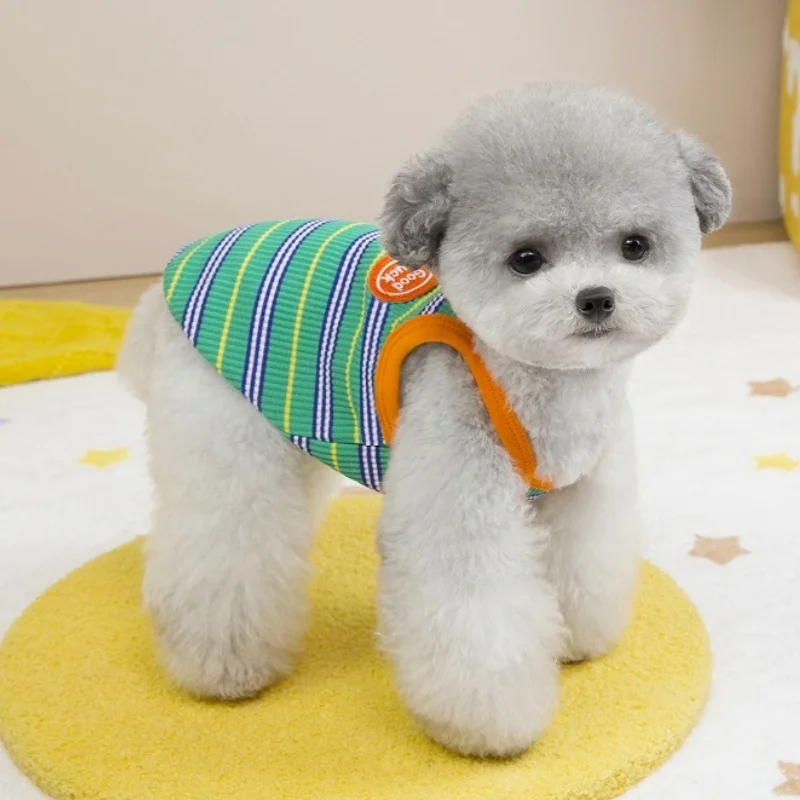 Ropa para perros y gatos: chalecos, camisetas y sudaderas