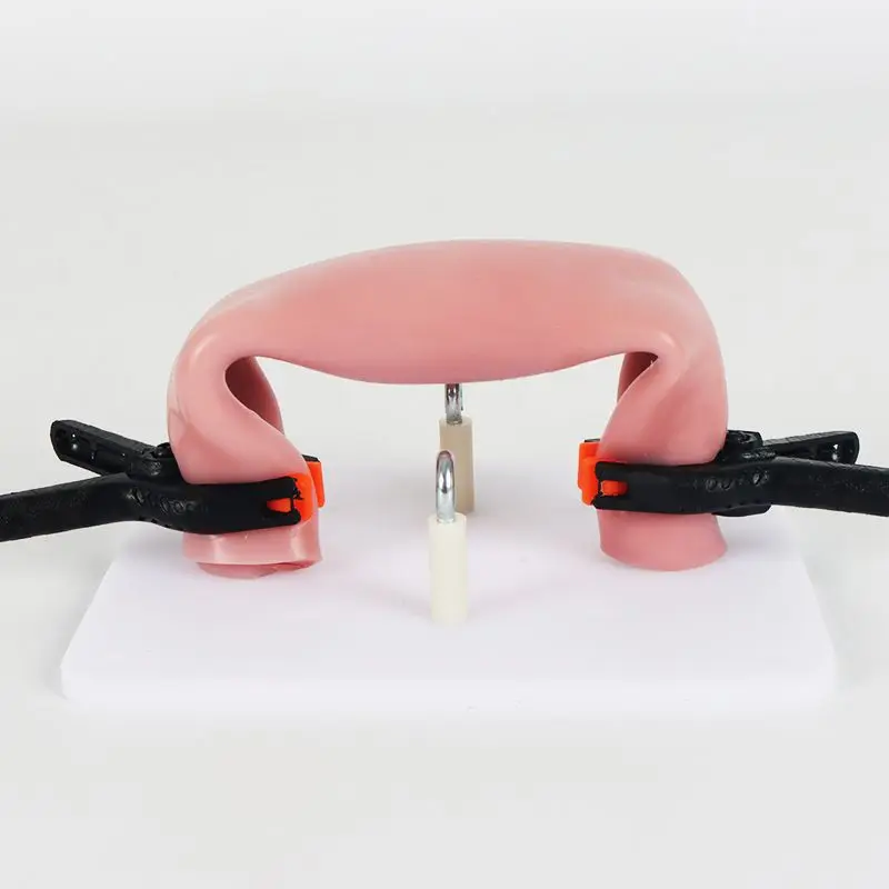 Laparoscopic Simulator/Intestinal Suture Model+Stent Clamp/Exercise Equipment