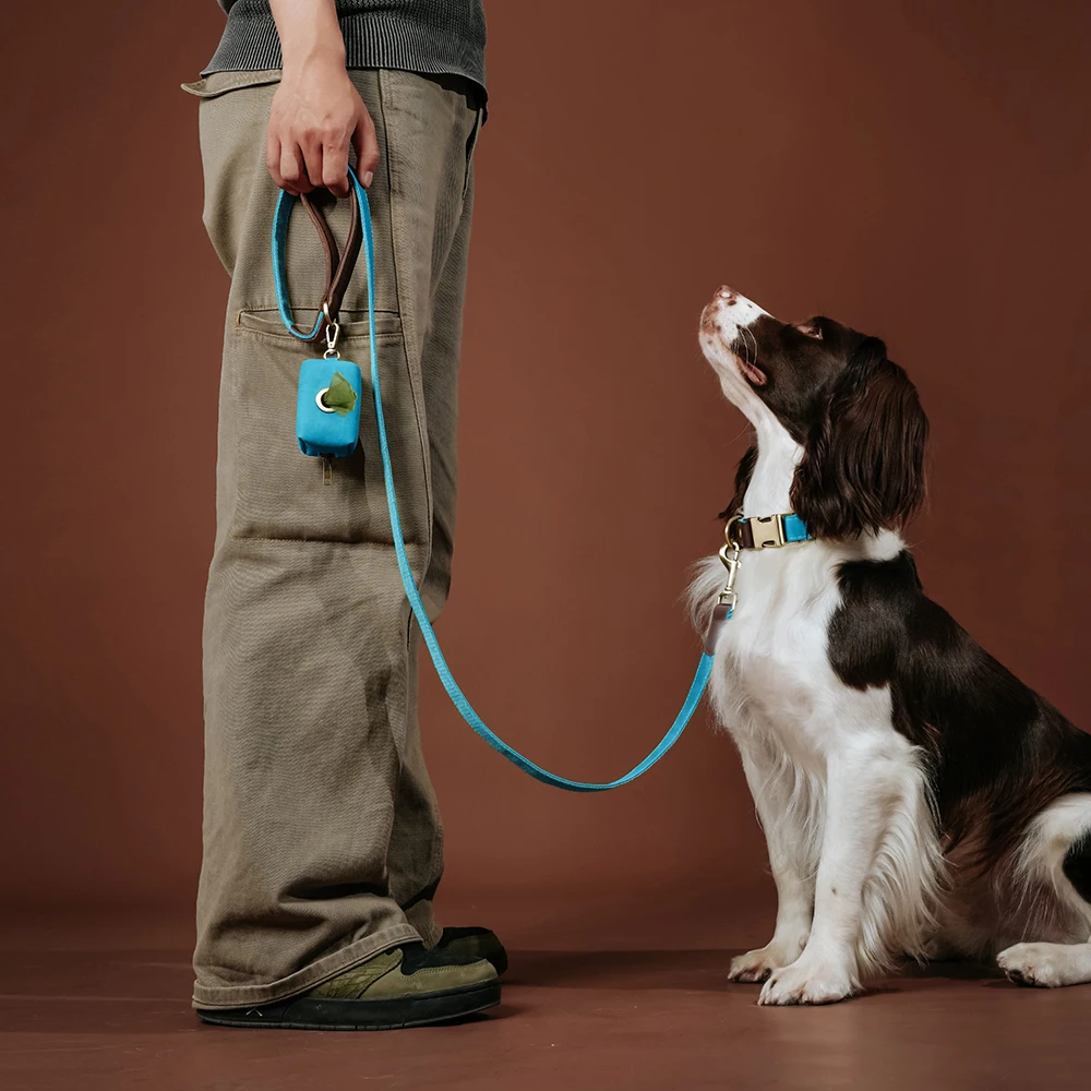 1,5m Lange PU-Leder Gepolsterte Hundeleine Langlebige & Retro-Hundeleine für Kleine und Mittelgroße Hunde in 9 Farben Erhältlich – Detail 17
