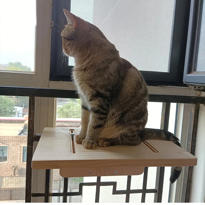 

Cat Hammock Hanging Summer Window Small Window Side Cat Bed View Pet Nest