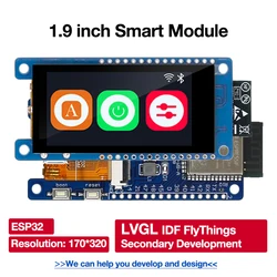 1,9 inch 170*320 ESP32-displaymodules 170*320 IPS capacitief touchscreen Dual Core SDIO SPI UART Type-C