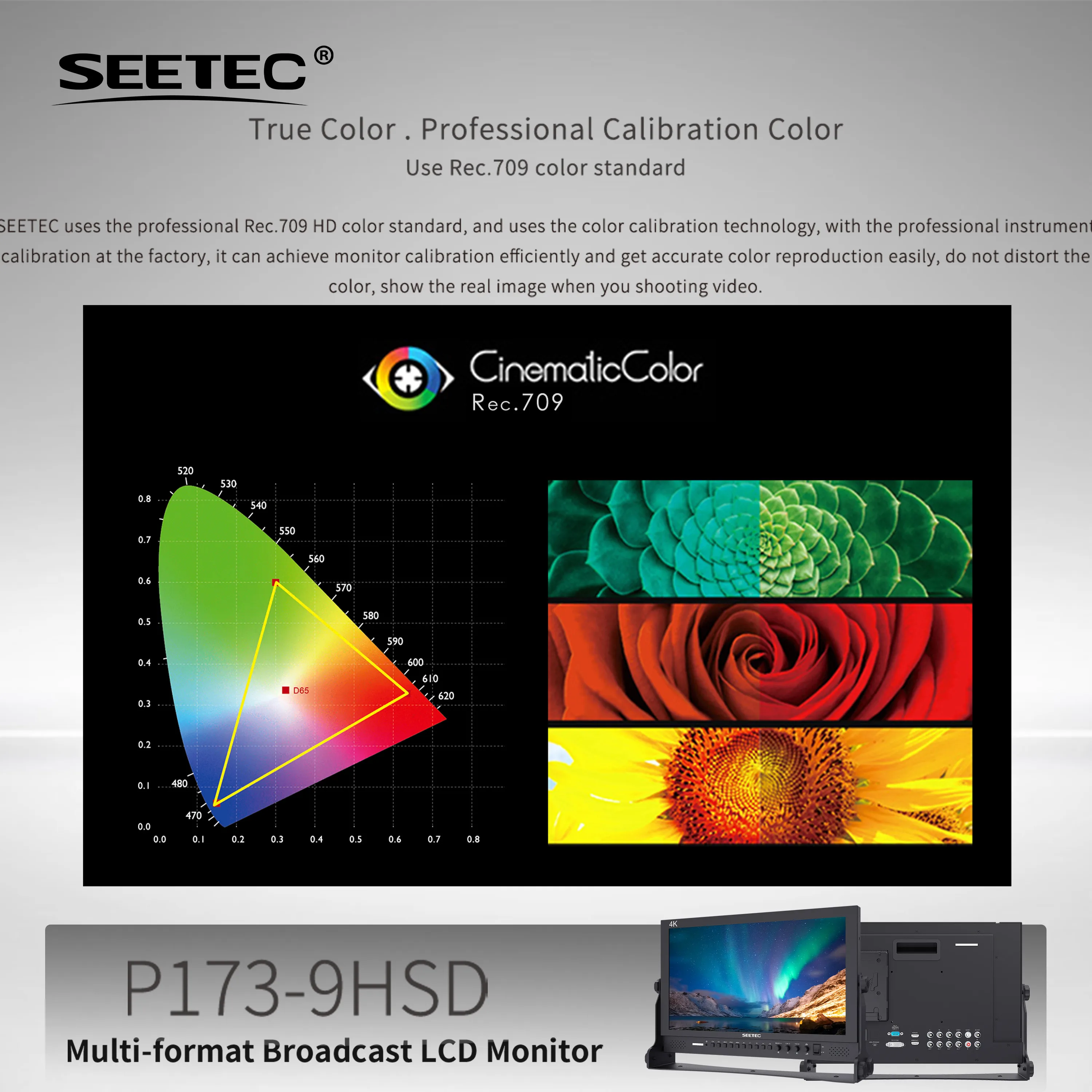 سيتك P173-9HSD صناعي OEM | 3G-SDI/HDMI/AV | تالي التحكم في الضوء | مورد الخصم بالجملة #4