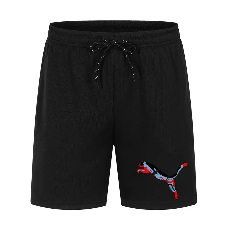 Summer Men's New Style Beach Casual Shorts Comfortable Breathable Quick-Drying Running Loose Sports Surfing Beachwear
