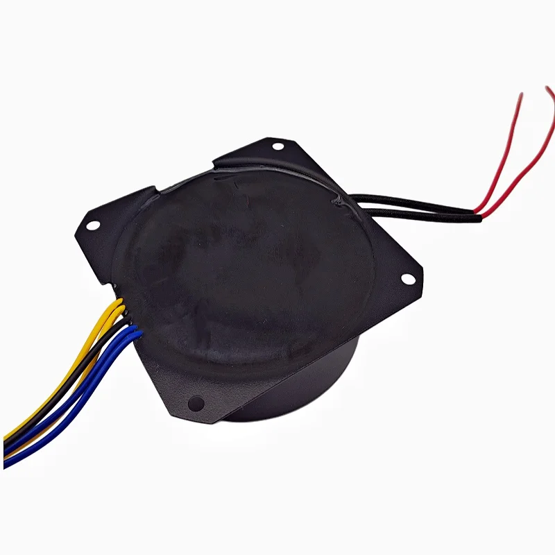 Epoxy resin potting 80W toroidal transformer 110V 220V 230V 240V To 9V 12V 15V 18V 24V 48V for audio amplifier