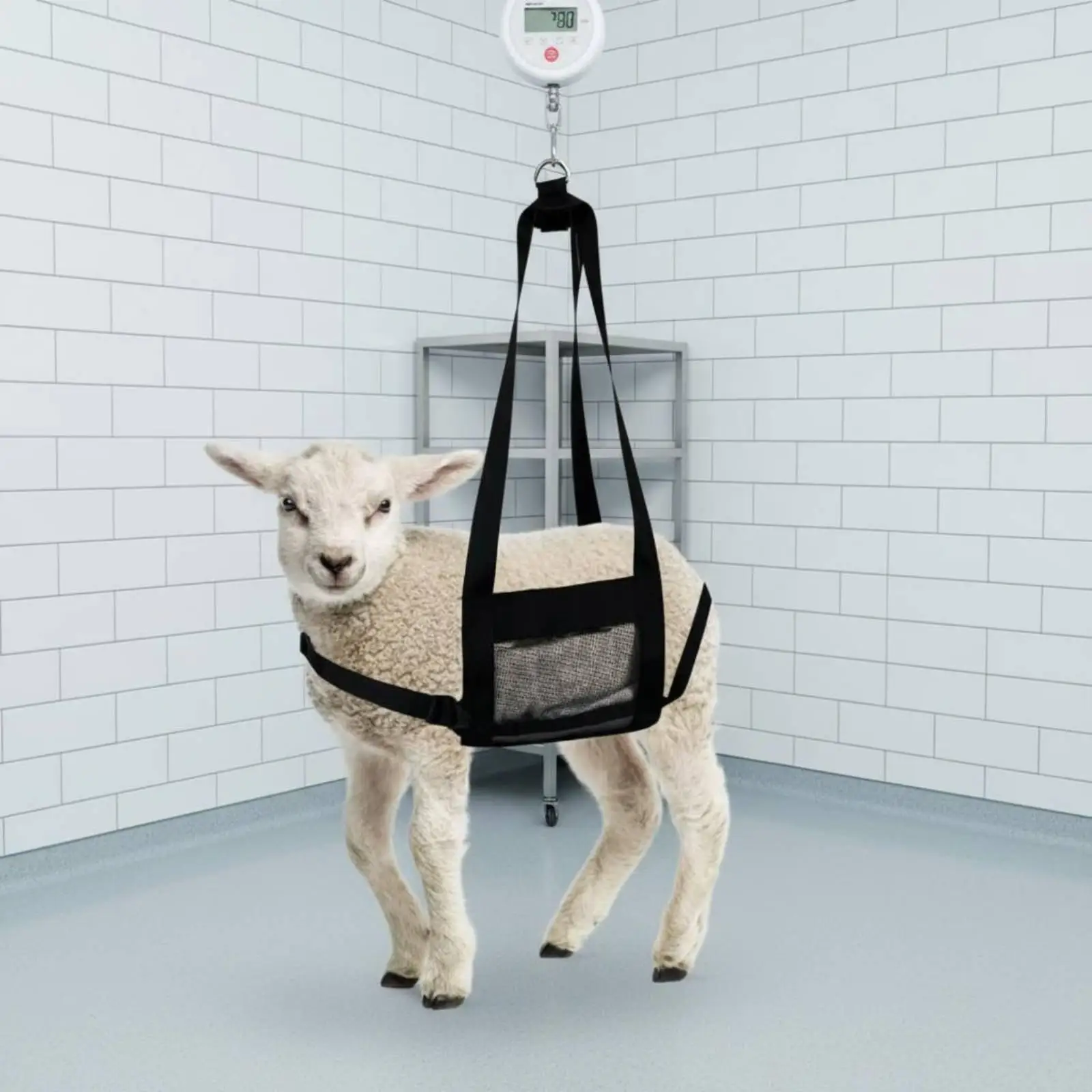 Livestock Weighing Sling Adjustable Fit Mesh Animal Harness for Baby Sheep Calf Piglet Farm Care Measuring