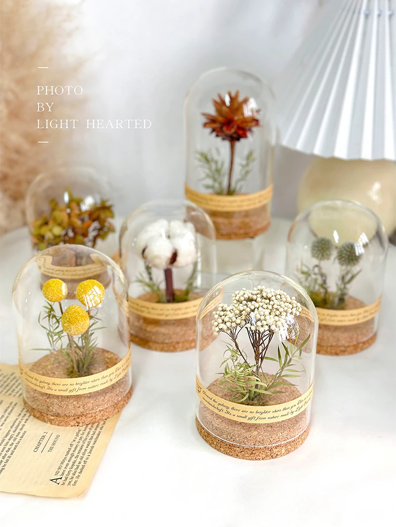 Preserved Fresh Flower Dried Flower Rose Plant Specimen Glass Cover Micro Landscape Ornaments Birthday Lover