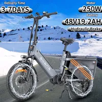 ENGWE LE20 Electric Bike 250W Brushless Motor 48V19.2AH Lithium Battery Hydraulic Brake E-bike 20-In Tire Snow Electric Bicycle