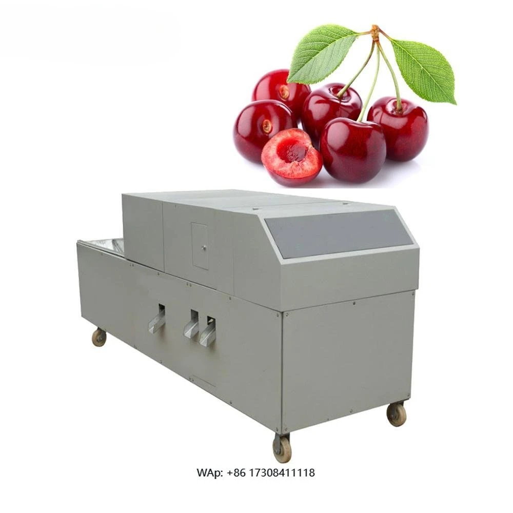 Industrial fruit cherry seed remover olive pad