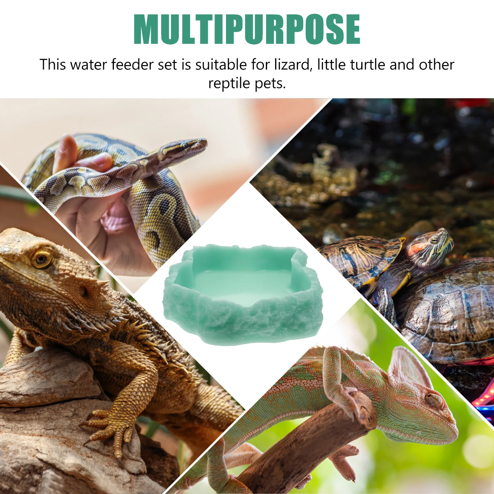 طبق تغذية مضيئة للزواحف مشرق الراتنج توهج وعاء طعام الحيوانات الأليفة حوض المياه السلاحف سحلية المغذية الزحف مستلزمات الحيوانات الأليفة #5