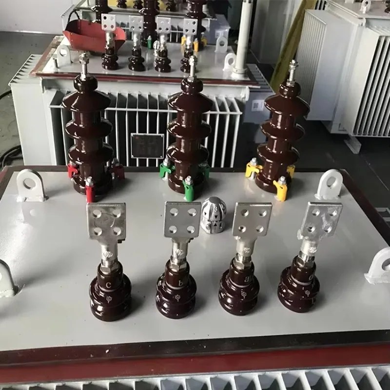 Customized High Voltage Three Phase Oil Immersed Power Transformer 6KV 33KV Input 220V Output 50/60Hz