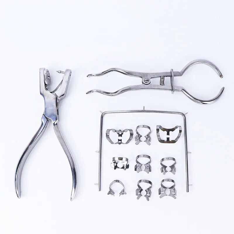 12-Piece Stainless Steel Dental Kit:Perforated Clamps,Rubber Pitch Tools,Piercing Forceps,Punch Tools for Orthodontic Procedures