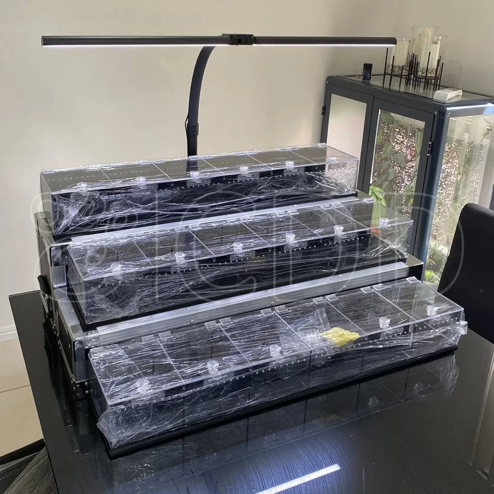 3 layers table top acrylic reptile display cases suppliers display for reptile snake show