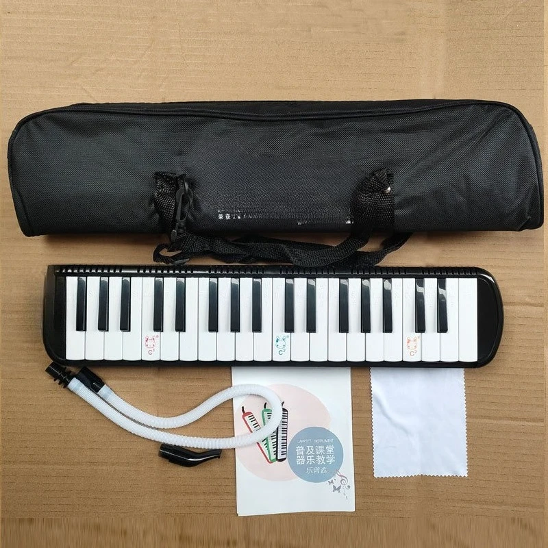 37-Key harmonica, playing an instrument in elementary school children's introductory classroom for beginners