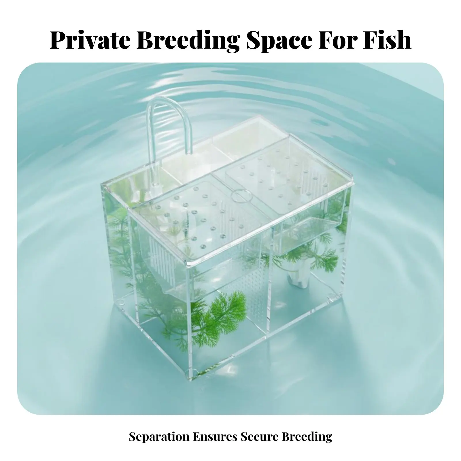Caixa Externa para Criação de Peixes Aquáticos com Tampa Antifuga, Caixa de Separação para Habitat Aquático, Habitat Multifuncional para Criação de Guppies