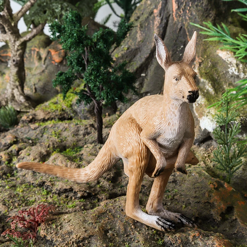 Oenux, 6 uds., animales salvajes australianos clásicos, canguro, Koala, Cassowario, modelo de figura de acción, juguete educativo, regalo para niños