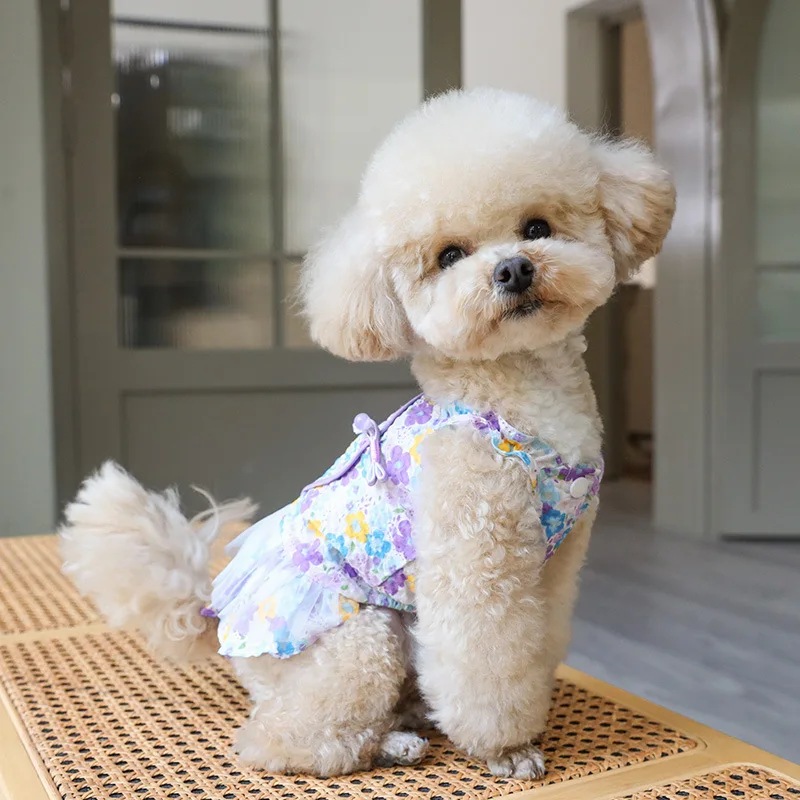 

Summer New Pet Lovely Lace Dress Breathable Thin Cotton Material Skirt with Cute Buckle Small Medium Dog Cat Clothes Pet Apparel