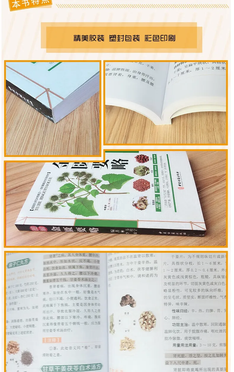 Health and Wellness Guide book，Traditional Chinese medicine health books, Chinese books: 