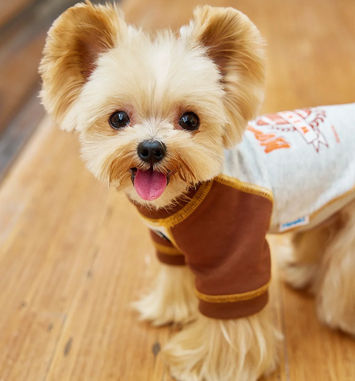 

Sleeveless summer clothes for dog and cat, new vest