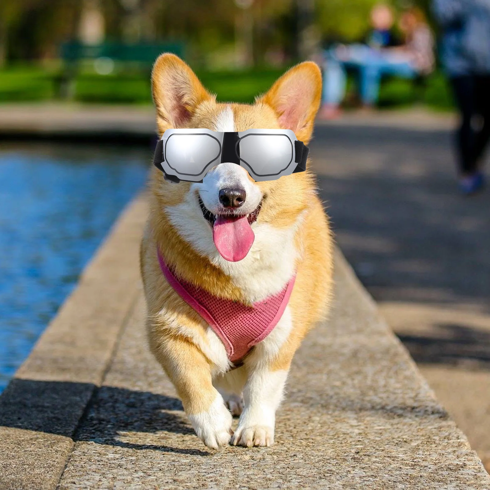 

1Pcs Dog Goggles for Small Dogs Stylish Pet Sunglasses UV Protection Windproof Outdoor Accessories Pet Party Favor