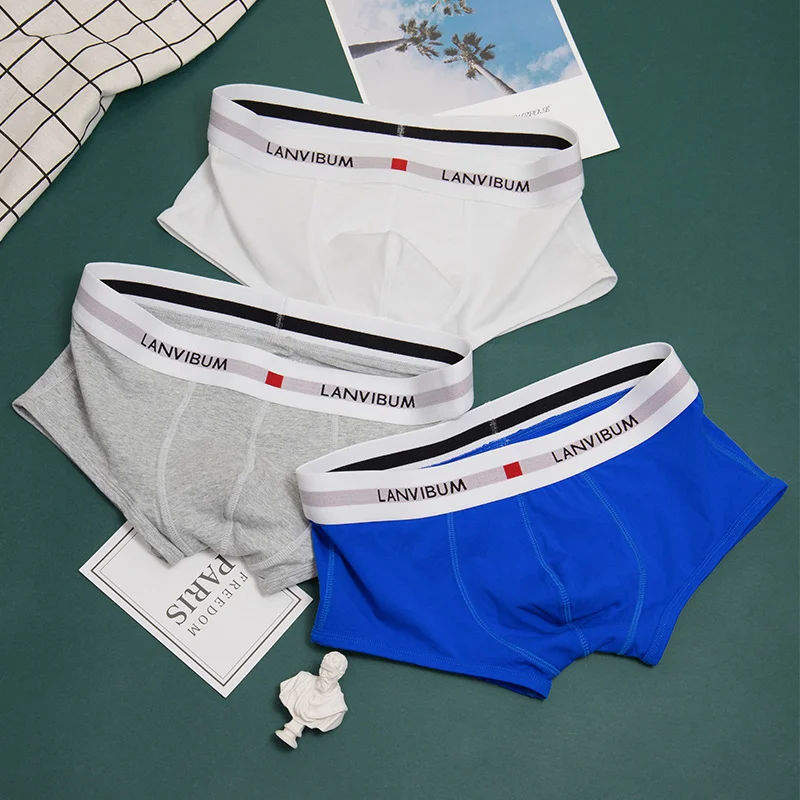 3pcs/lot men's cotton underwear low waist sexy seamless boxer shorts breathable cotton boxers