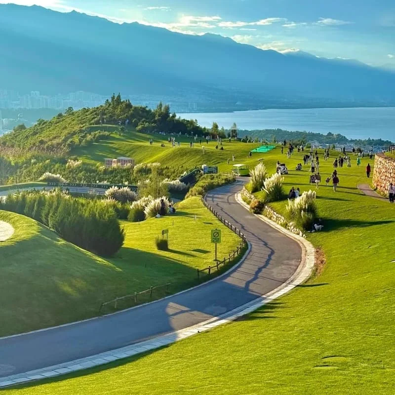 Holybro Remote ID-module - WIFI Bluetooth-compatibel PX4 Ardupilot CAN serieel protocol RC FPV-accessoire