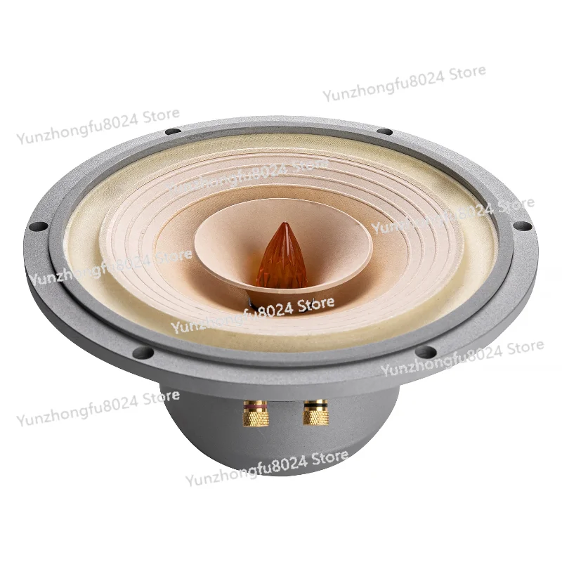

10 Inch Full Range Speaker Driver Fast High and Scaled Sound 25W-50W 8 Ohm（1 Pair）