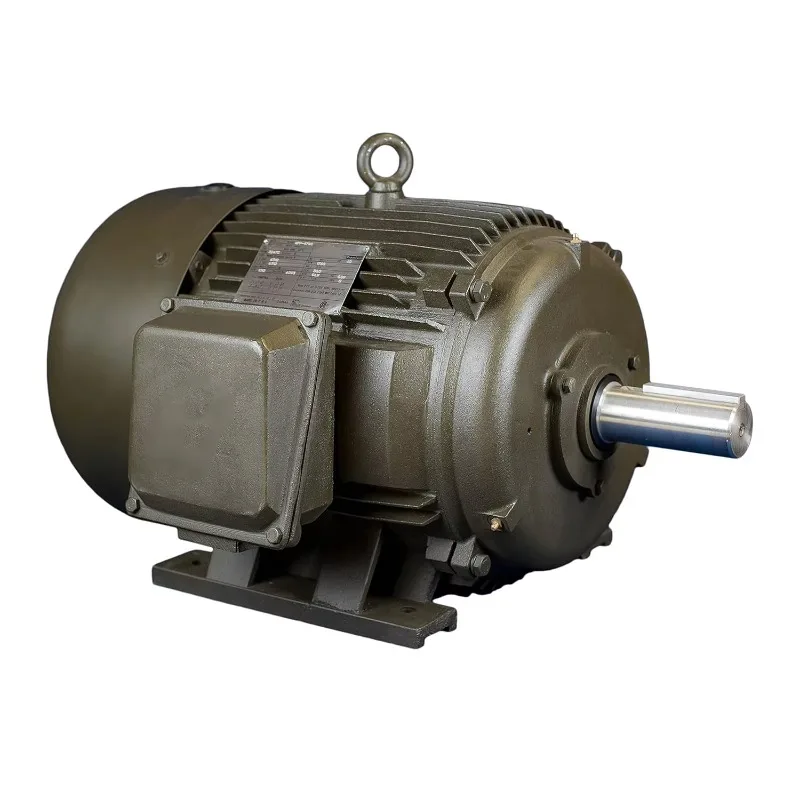 Standard cast iron 145 frame universal motor