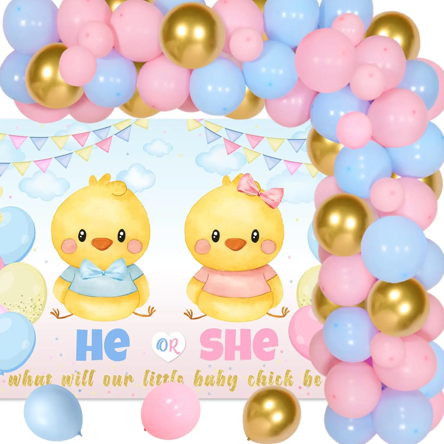 Joymemo 67Pcs Chicken Themed Gender Reveal Party Decorations Balloon Garland Kit Boy or Girl Baby Shower Chick Party Supplies