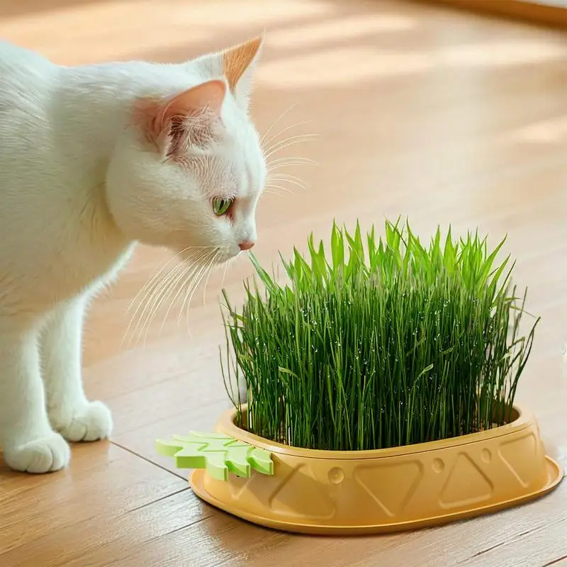 Cat Grass Tray Cat Grass Growing Tray Pineapple Design Wheat Grass Pot Soil-Free Planting Box Indoor Organic Catgrass