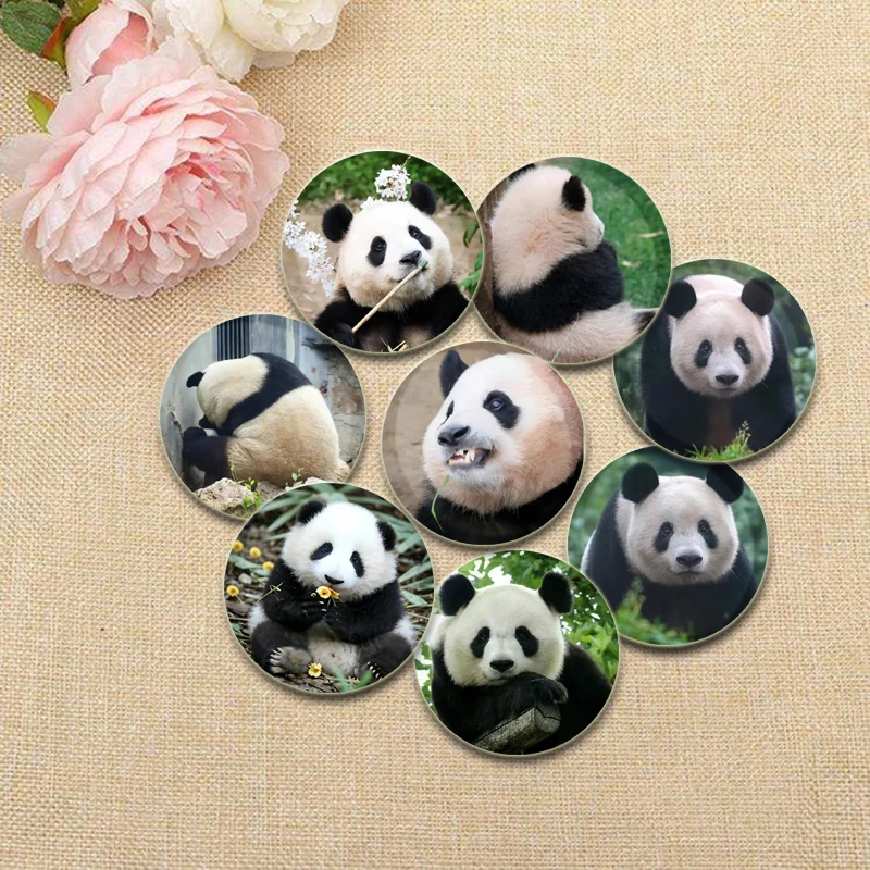 

32/44/58mm Cute Giant Pandas Brooch Pins Cosplay Nuannuan/xiangxiang/fubao Badge Brooches Bag Accessories Jewelry Gifts