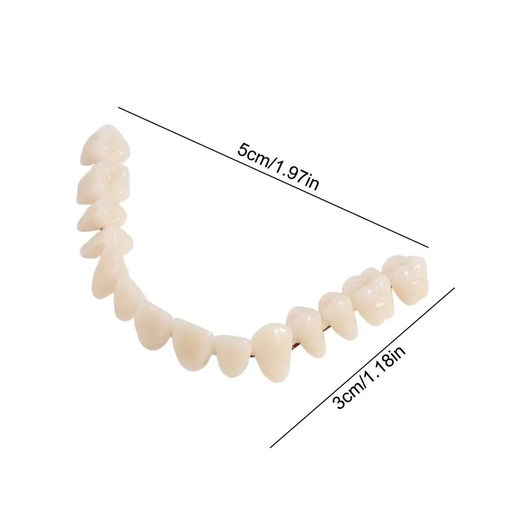 28 Pcs Resin Denture False Teeth Make Your Own Firm Dental Teeth Teaching Model Top and Bottom Fake Teeth Improve Smile