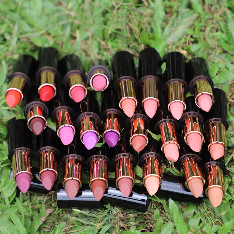 Lipstick Private Label Waterproof Long lasting Red Lip Matte Lipstick Make-up Cosmetics Wholesale Bulk For Business