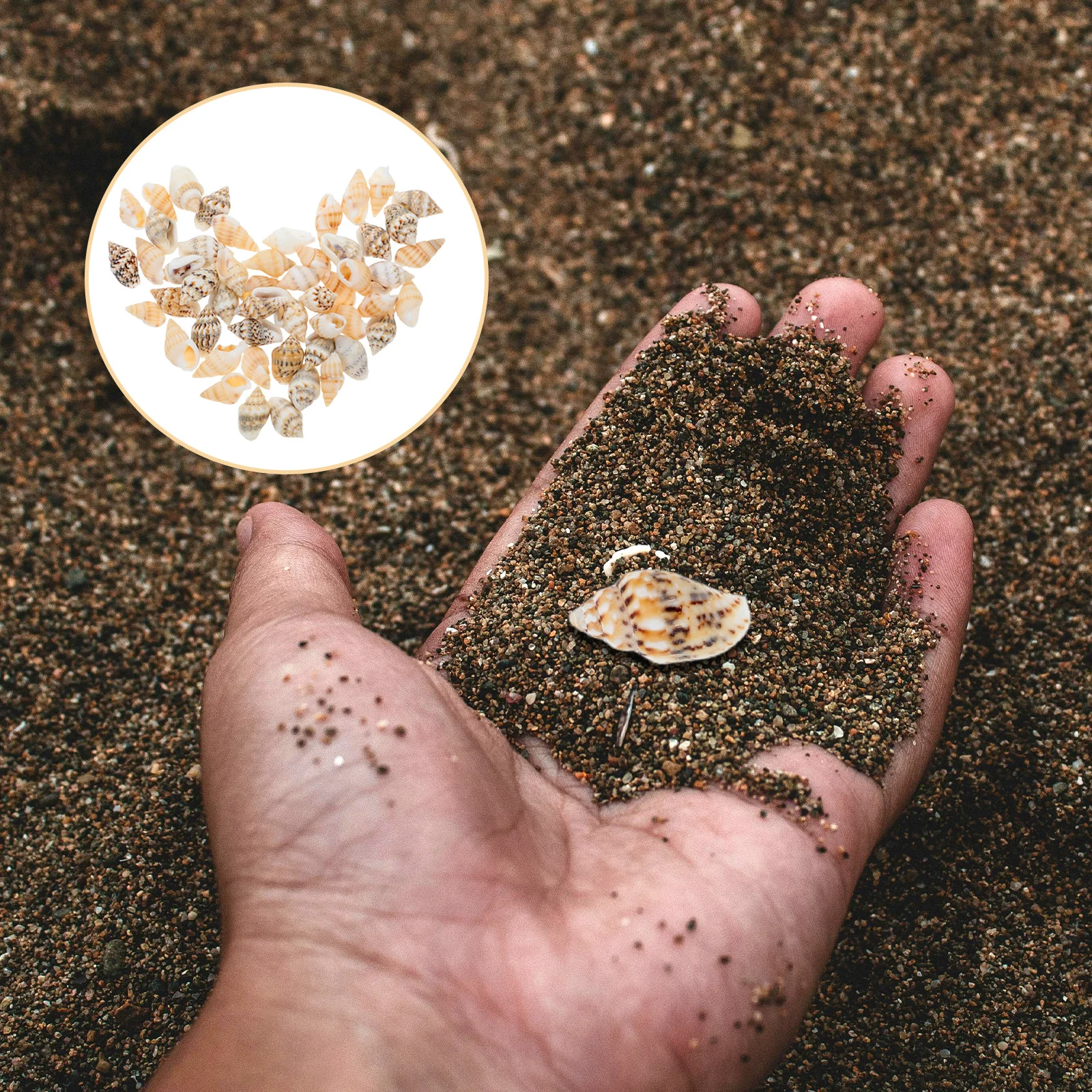 

50Pcs Mini Seashells Realistic Shell Decorations for DIY Craft Micro Landscape Beach Props Small Shells for Home Office Decor