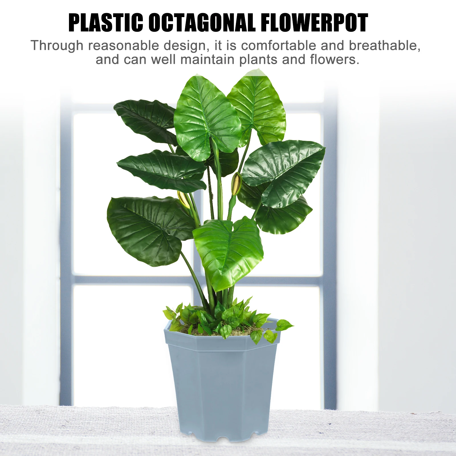 

5 Pcs Large Plastic Flower Pot Succulent Starter Pots Desktop Planter Suculentas